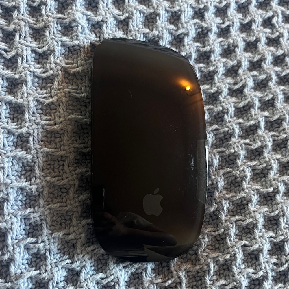 Apple Glossy Black Mouse
